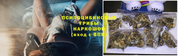 стафф Алзамай