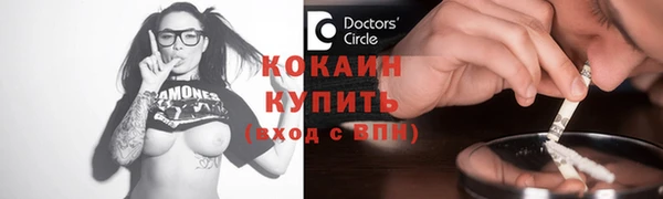 твердый Новозыбков