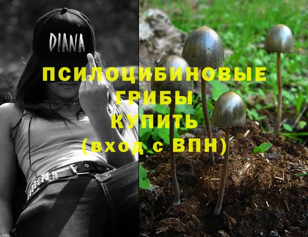 стафф Алзамай