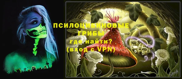 стафф Алзамай