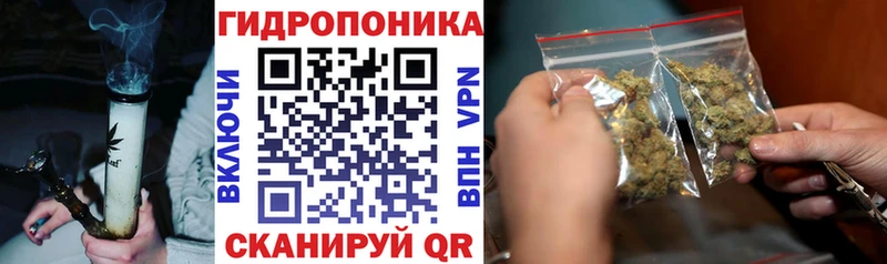 Конопля Bruce Banner  дарнет шоп  Урай 